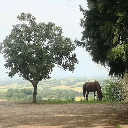 La Torretta *